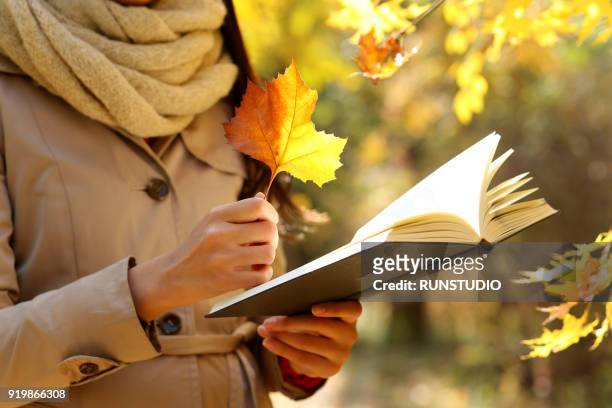 cropped image of woman holding book with leaf in autumn park - forest bathing stock pictures, royalty-free photos & images