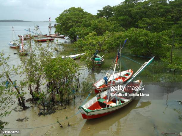salinopolis fishing harbor, para state, brazil. - paratransit bildbanksfoton och bilder