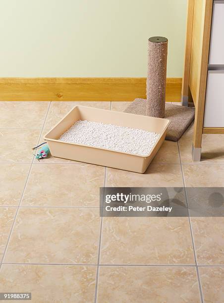 cat litter tray. - litter box stock pictures, royalty-free photos & images