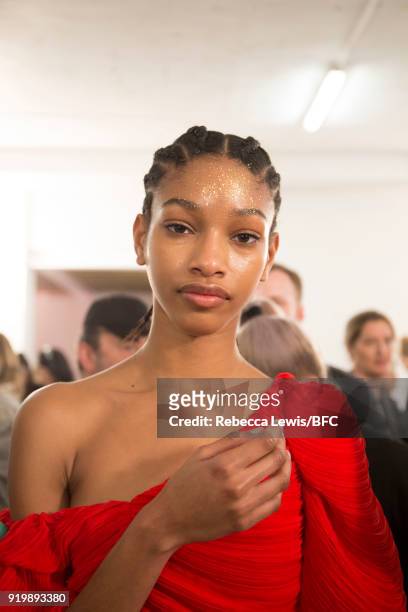 Model backstage ahead of the Preen by Thornton Bregazzi show during London Fashion Week February 2018 at on February 18, 2018 in London, England.