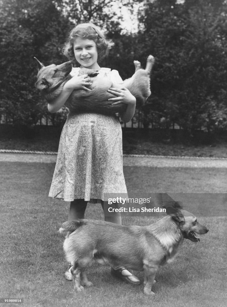 Princess And Corgis