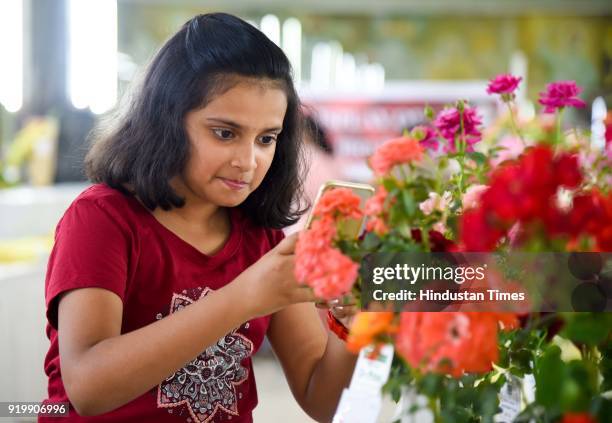 People visit at 101 Roses exhibition organised by The Rose Society of Pune at Tilak Smarak Mandir on Tilak road, on February 17, 2018 in Pune, India.