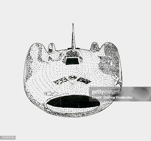 black and white illustration of donald campbell's futuristic blue bird cn7, 1964 - 1964 2009 stock illustrations