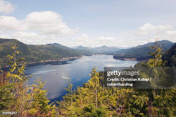 nitinat lake, carmanah walbran provincial park, vancouver island, british columbia, canada, north america - carmanah walbran provincial park stockfoto's en -beelden