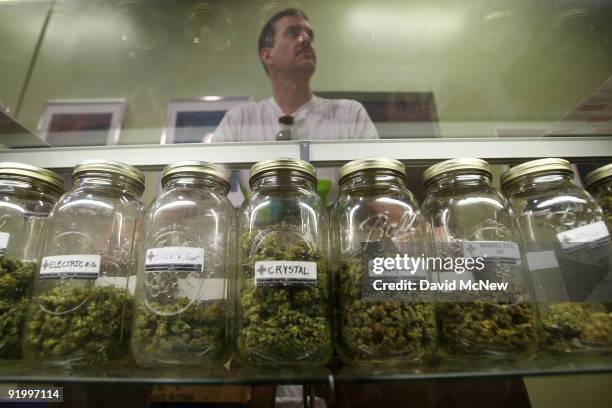 Dave Warden, a bud tender at Private Organic Therapy , a non-profit co-operative medical marijuana dispensary, displays various types of marijuana...