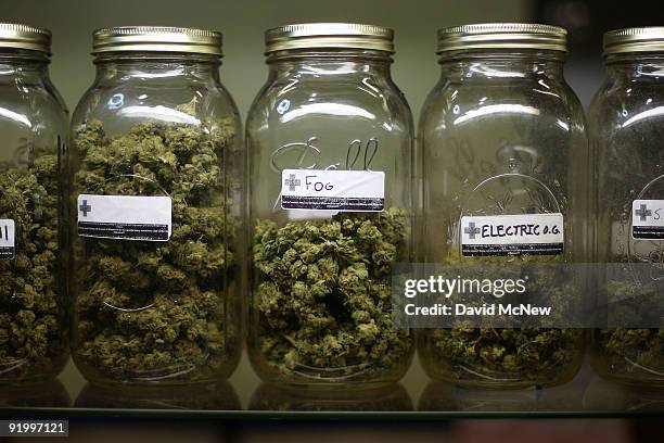 Various types of marijuana are on display at Private Organic Therapy , a non-profit co-operative medical marijuana dispensary, on October 19, 2009 in...