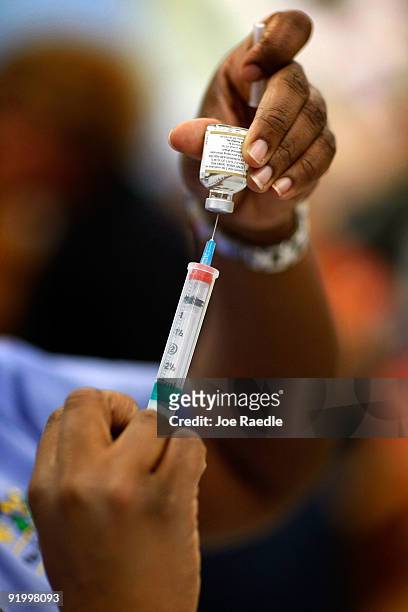 Nurse Shajaira Powell-Bailey measures out a H1N1 vaccination at the Broadmoor Elementary school October 19, 2009 in Miami, Florida. The Miami-Dade...