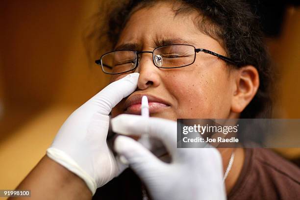 Daniela Diaz receives a H1N1 nasal flu spray vaccine from nurse Shajaira Powell-Bailey at the Broadmoor Elementary school October 19, 2009 in Miami,...
