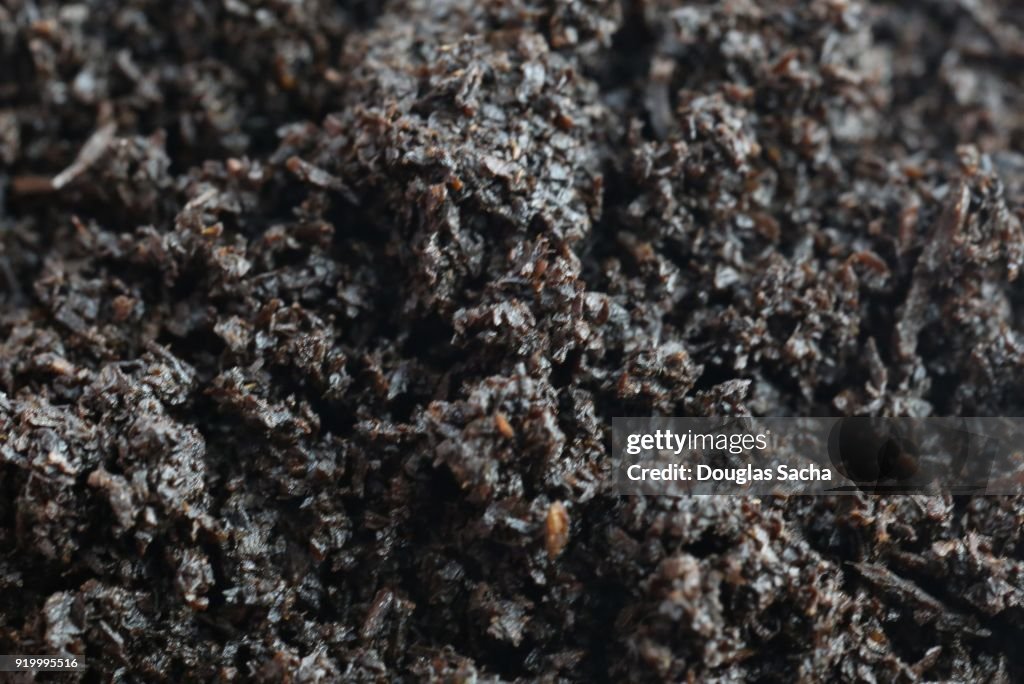 Full frame of chewing tobacco