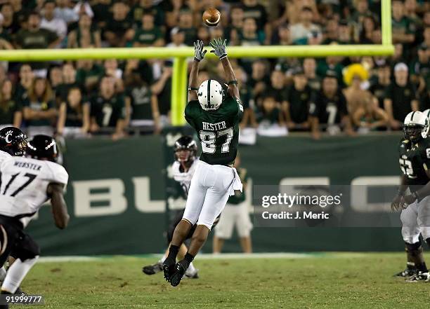 Receiver Jessie Hester of the South Florida Bulls stretches for a reception against the Cincinnati Bearcats during the game at Raymond James Stadium...