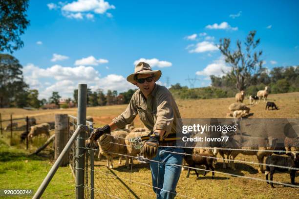 有機農場の成熟した農夫の肖像 - farmer australia ストックフォトと画像