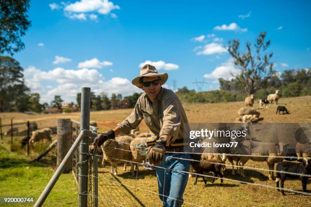 portrait of mature farmer on organic farm - summer of 77 stock pictures, royalty-free photos & images
