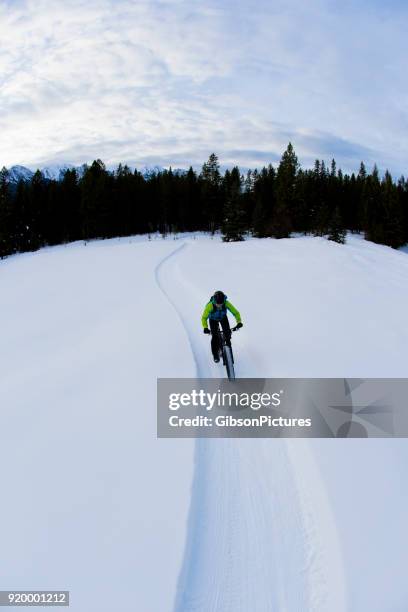 winter fat bike adventure - cariboo stock pictures, royalty-free photos & images