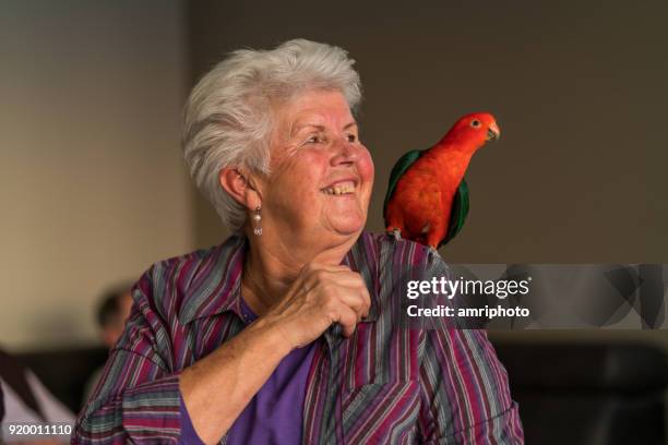 senior portrait - happy senior woman with bird - king parrot stock pictures, royalty-free photos & images