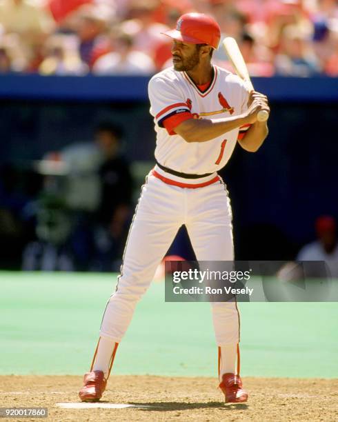 Ozzie Smith of the St. Louis Cardinals bats during an MLB game at Busch Stadium in St. Louis, Missouri during the 1989 season.