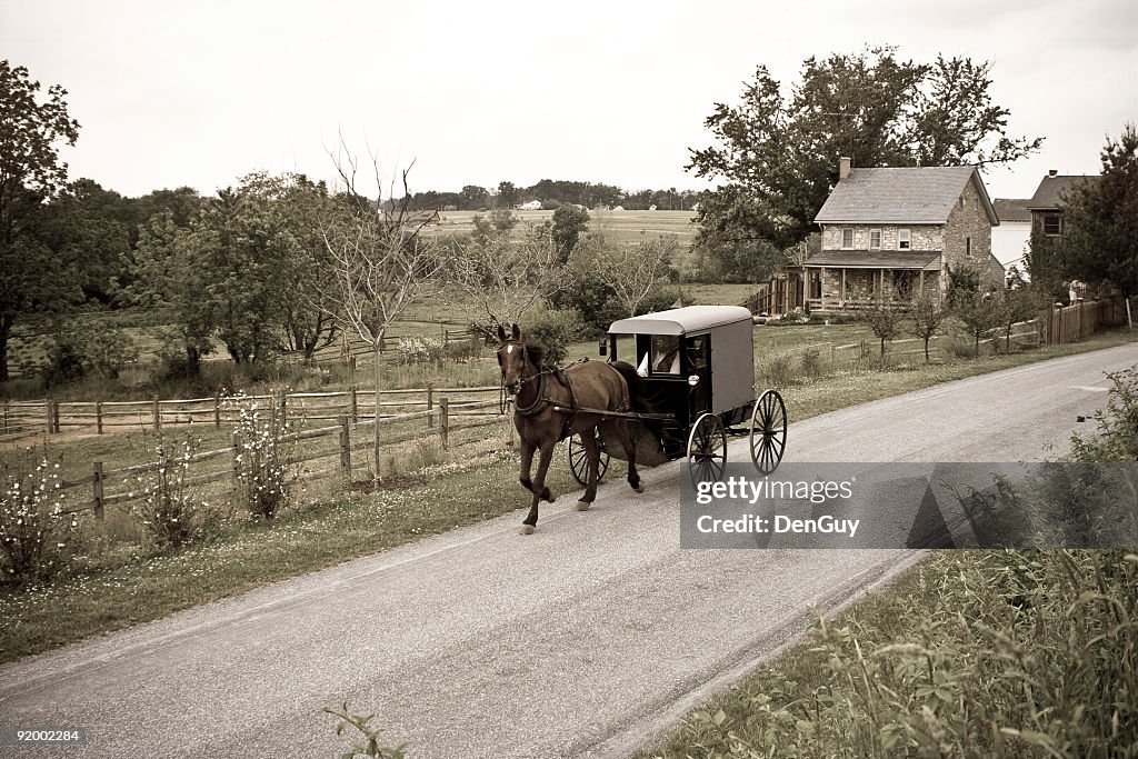 アーミッシュのバギー馬が引くペンシルバニア州ランカスター郡