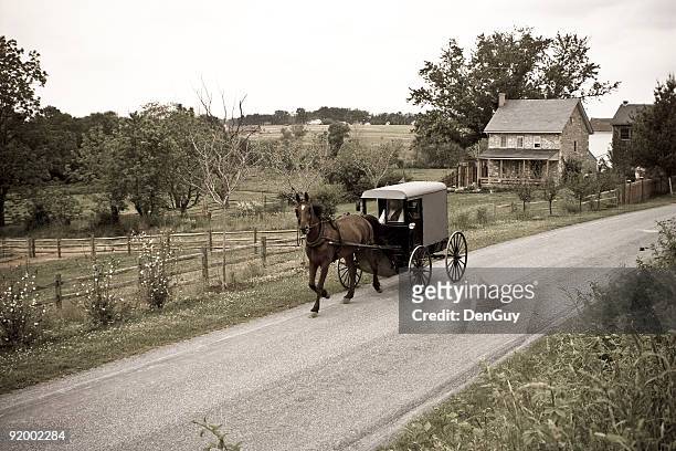 amish horse-drawn buggy lancaster county pennsylvania - carriage stock pictures, royalty-free photos & images