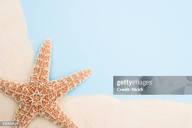 starfish on blue - shell on sand isolated cut out stock pictures, royalty-free photos & images