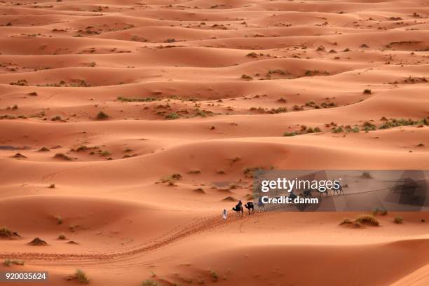 desert sahara, camel ride caravan, enjoying and happy people - tunisia stock pictures, royalty-free photos & images