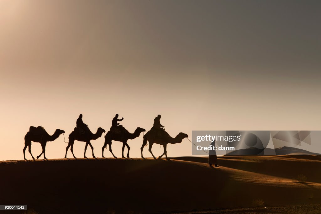 Desert, Camel Ride, Enjoying and happy People