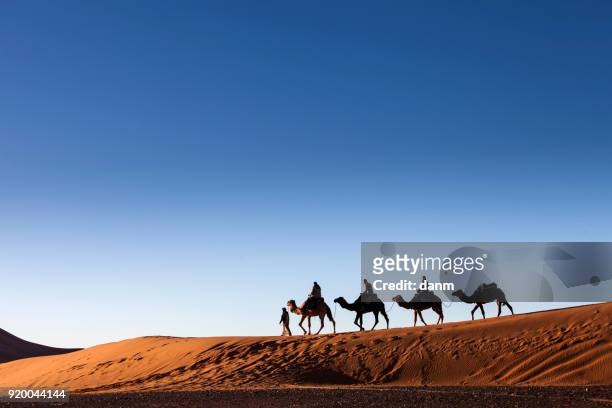 desert, camel ride, enjoying and happy people - camel train stock pictures, royalty-free photos & images