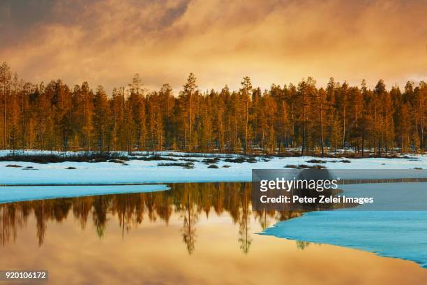 northern spring, finnish lapland sunset - norte imagens e fotografias de stock