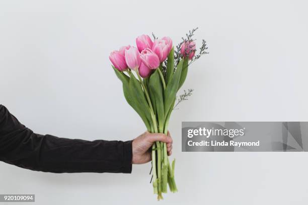 bouquet of tulips in a hand against a light blue background - bouquet stock-fotos und bilder