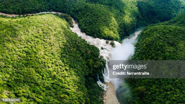 サン ・ ルイス ・ ポトシ、メキシコの tamul 滝 - san luis potosi ストックフォトと画像