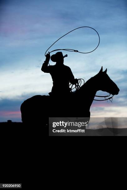 silhouette di un cowboy che vaga sul suo cavallo - cowboy sillouette foto e immagini stock