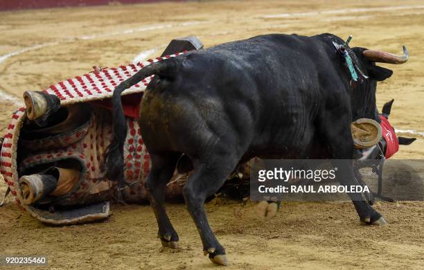 Bull knocks down a horse with the Colombian picador William Torres during a bullfight at the La Santamaria bullring in Bogota, Colombia, on February...