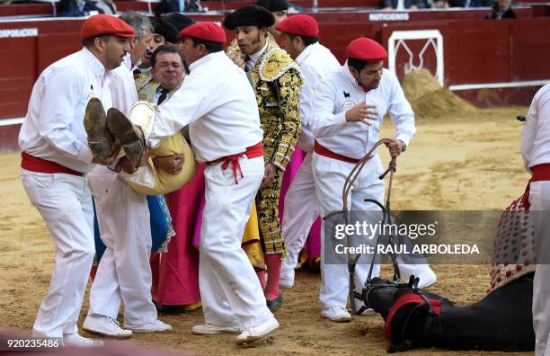 Bull knocks down a horse with the Colombian picador William Torres during a bullfight at the La Santamaria bullring in Bogota, Colombia, on February...