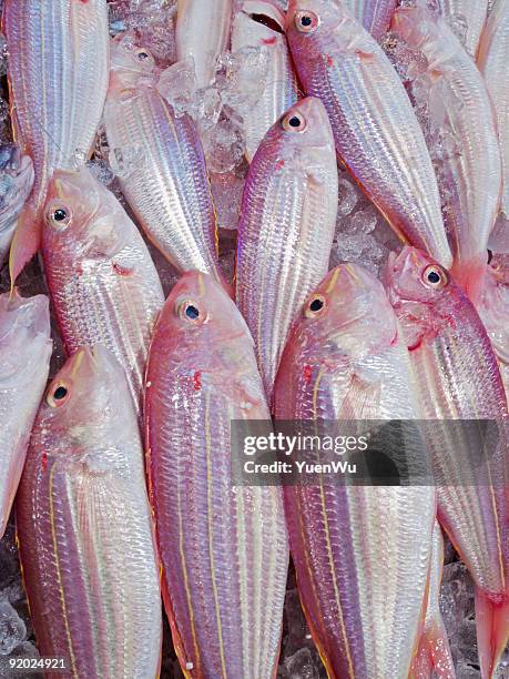 Frozen Fish Dinner Photos and Premium High Res Pictures - Getty Images