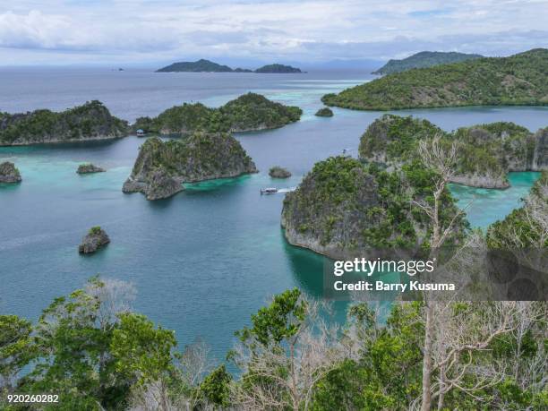 painemo islands raja ampat, papua. - raja ampat islands fotografías e imágenes de stock