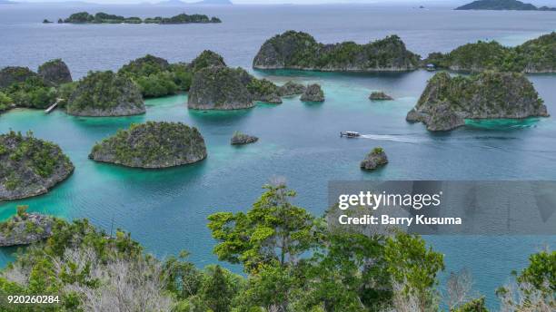 painemo islands raja ampat, papua. - raja ampat islands fotografías e imágenes de stock