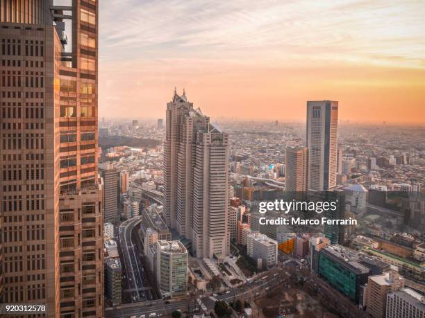 tokyo cityscape at sunset - regierungsgebäude der präfektur tokio stock-fotos und bilder