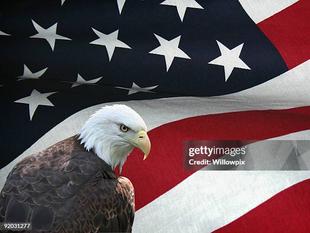 9,263 Red Eagle Photos and Premium High Res Pictures - Getty Images 9,263 Red Eagle Photos and Premium High Res Pictures - Getty Images
