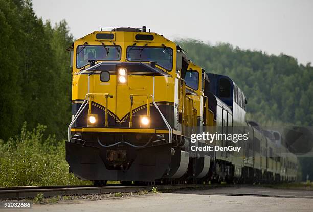 passenger train in alaskan wilderness - facing things head on stock pictures, royalty-free photos & images