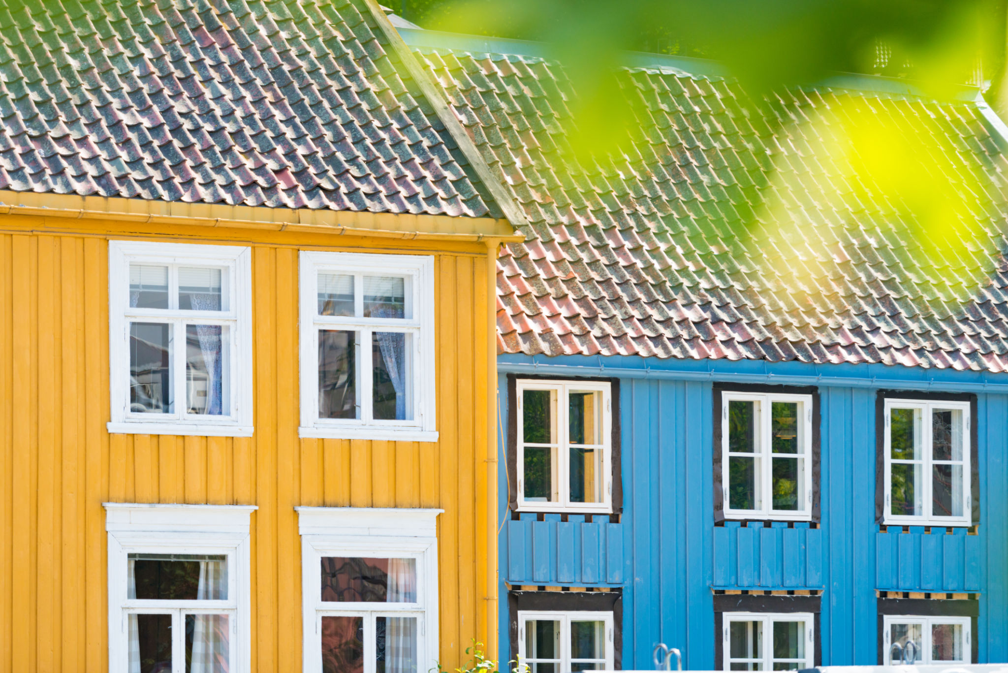 norwegian home colors