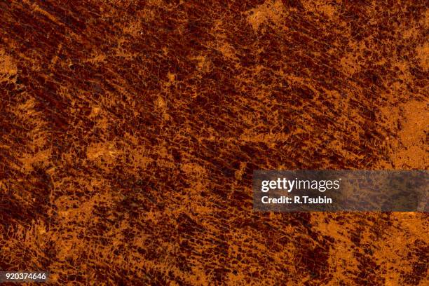 old leather texture - mottled skin stockfoto's en -beelden