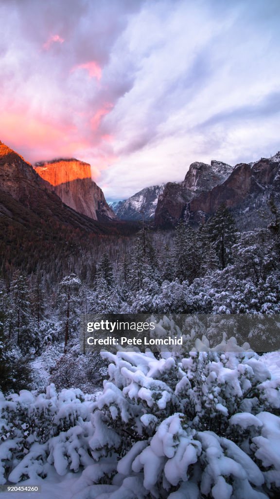Winter tunnel view, Yosemite National park