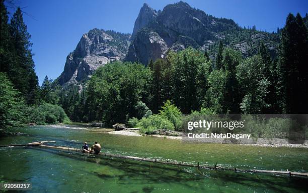 dos en un registro - kings canyon fotografías e imágenes de stock