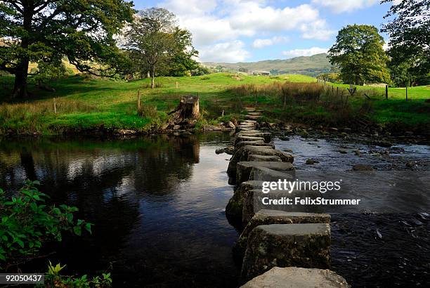 stepping stones 2 - stepping stones stockfoto's en -beelden