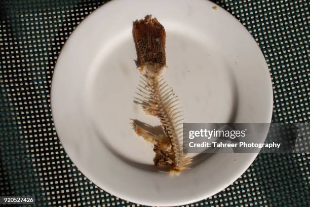 fish skeleton in plate - fish skeleton fotografías e imágenes de stock