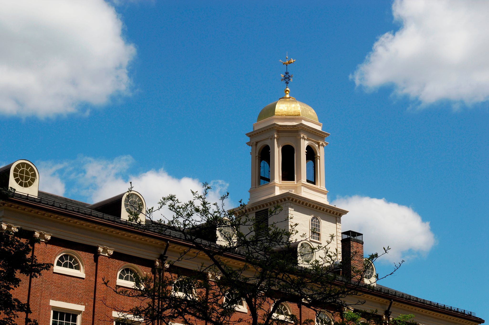 massachusetts biotechnology