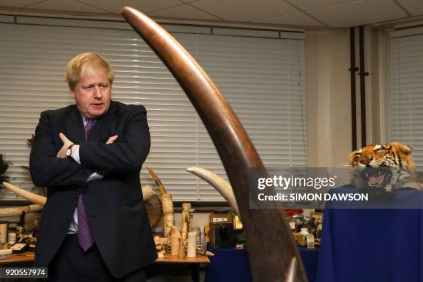 Britain's Foreign Secretary Boris Johnson stands next to a seized tiger skin rug and a rhinoceros horn as he visits a Metropolitan Police wildlife...