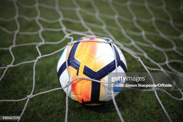 The ball rests in the back of the goal net during The Emirates FA Cup Fifth Round match between Rochdale AFC and Tottenham Hotspur at Spotland...