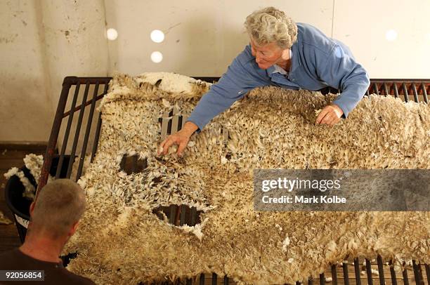 Fleece is skirted by Val Murray during spring shearing at Cherry Hill Pastoral Company property on October 19, 2009 in Uralla, Australia. Shearing in...