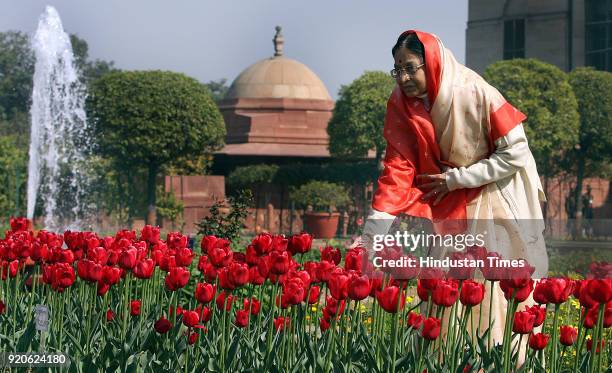 Indian Politics and Governance, News Photo
