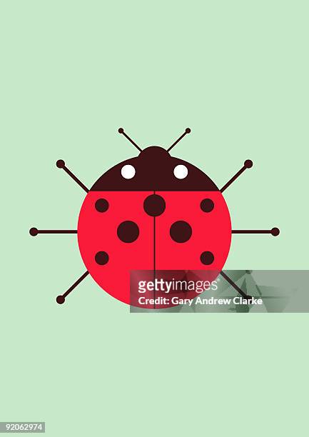 ilustraciones, imágenes clip art, dibujos animados e iconos de stock de ladybug  - mariquita