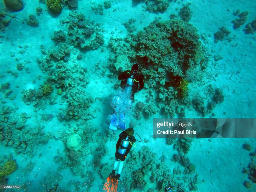 Scuba Divers Swimming In the Death Sea, Aqaba, Jordan